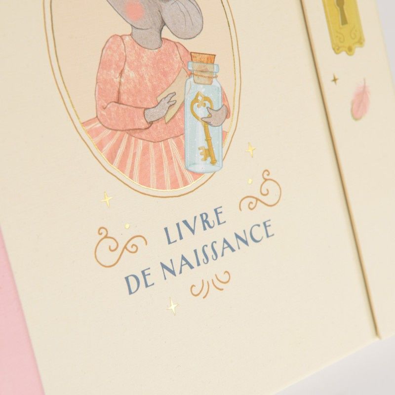 Moulin Roty Перша книга про малюка від народження (80 сторінок) La Petite Ecole de Danse, 667085